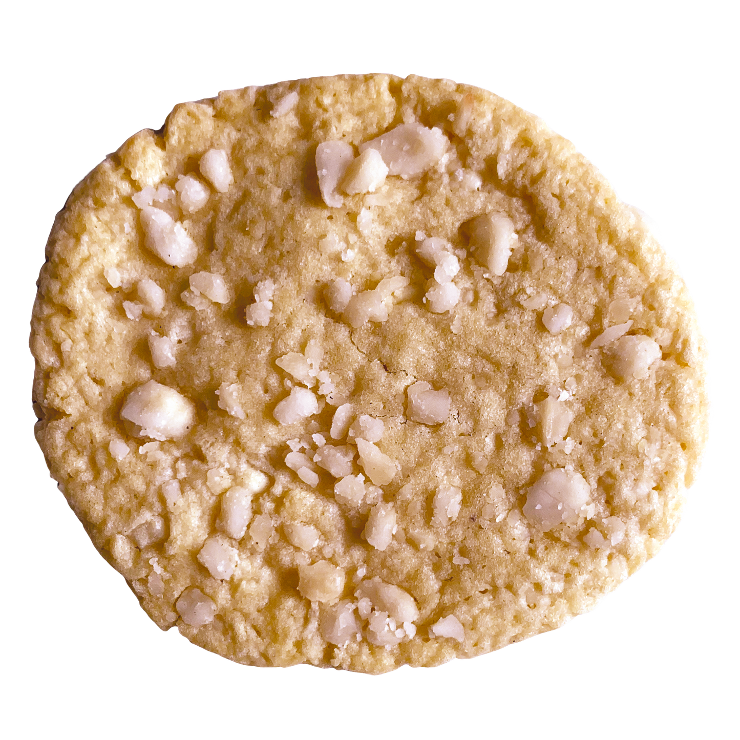 MACADAMIA WHITE CHOCOLATE!