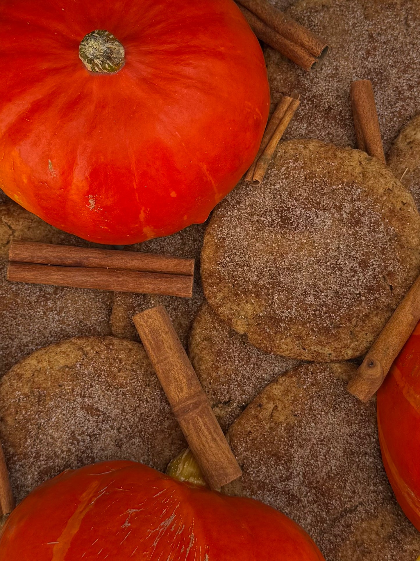 VEGAN PUMPKIN SPICE!