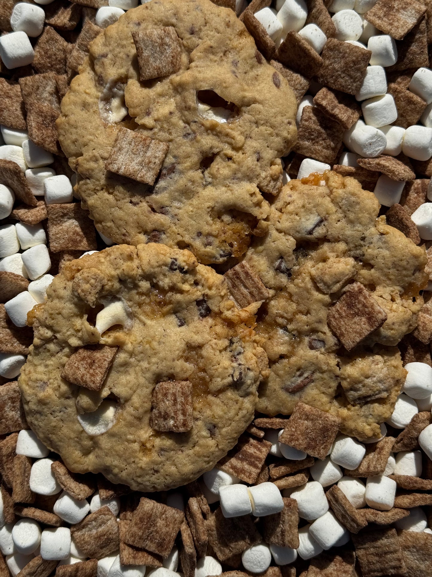 S'MORES!