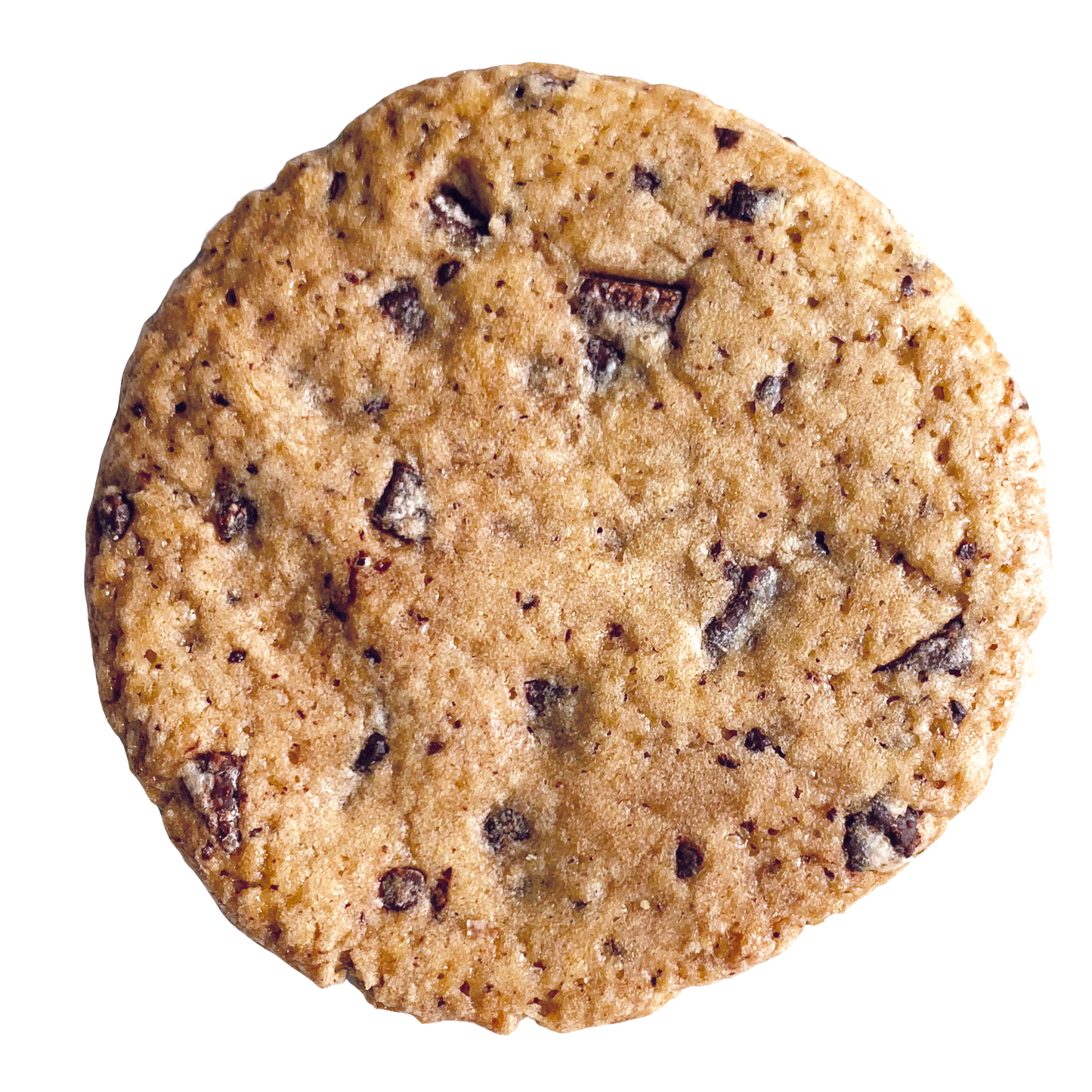 Chocolate Chip